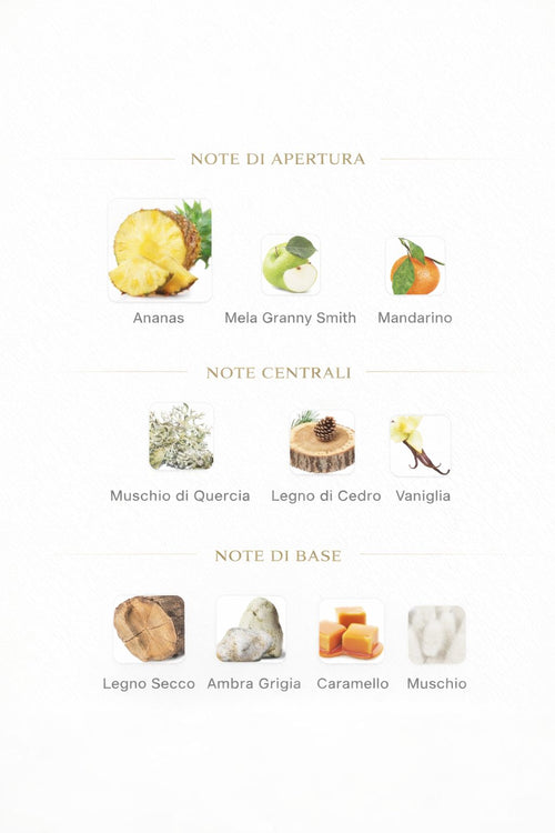 9pm Rebel di Afnan unisex 100ml